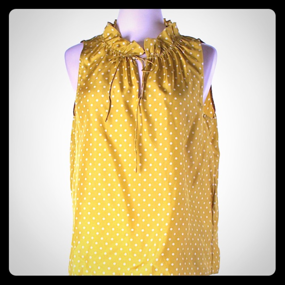 JCrew silk blouse